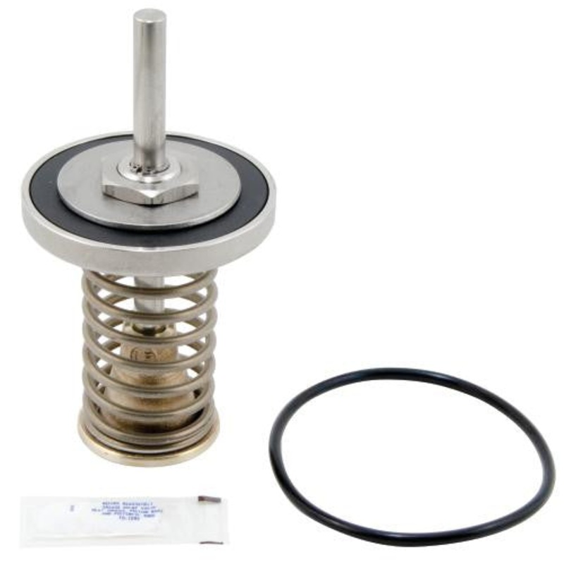 Watts LFRK 909 CK1 2 1/2 – 3 0794096