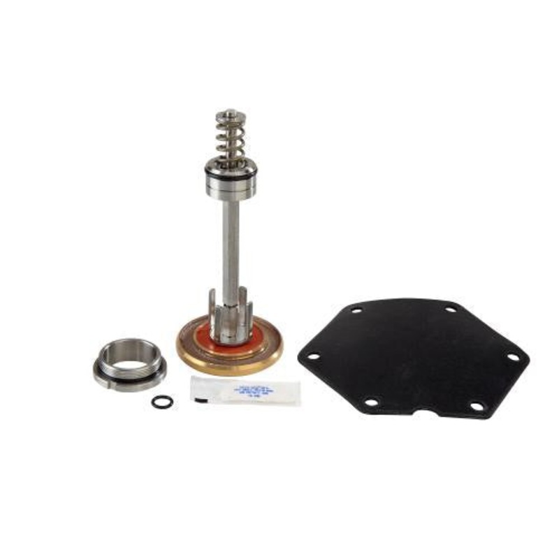 Watts LFRK 909 VT 2 1/2 – 3 0794085