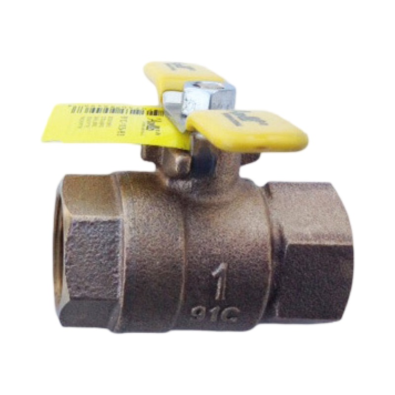 APOLLO 91C10583 OUTLET BV 1 F x F FOR 4A