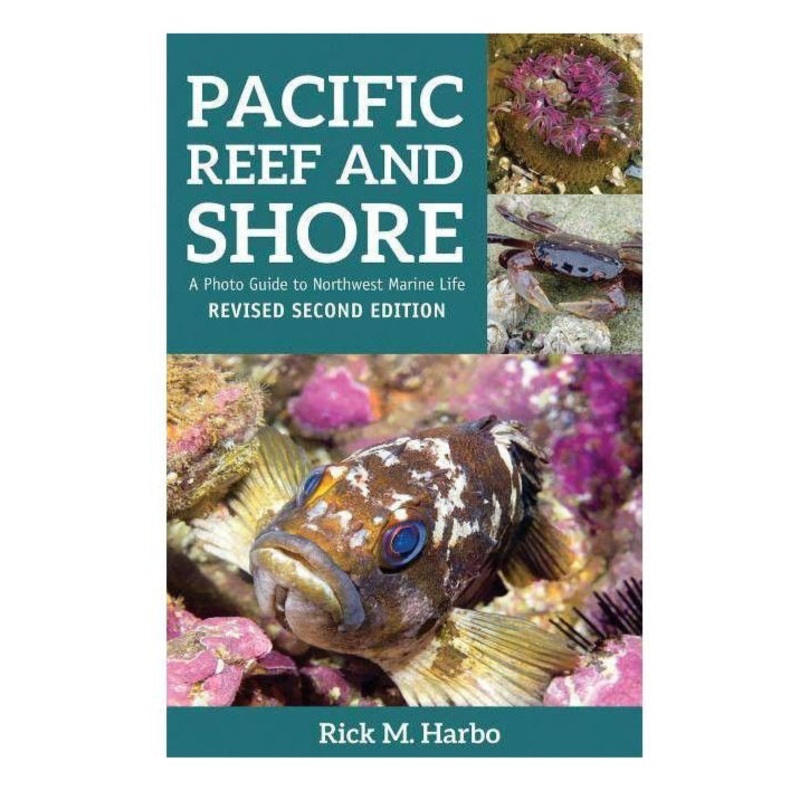 Pacific Reef and Shore