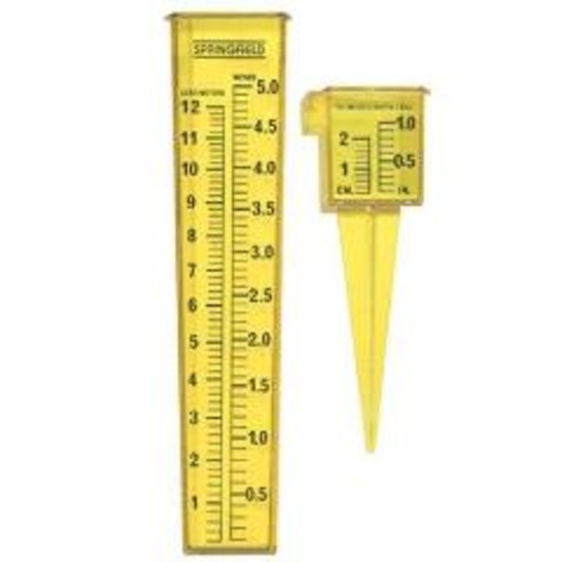 Rain Gauge, Economy