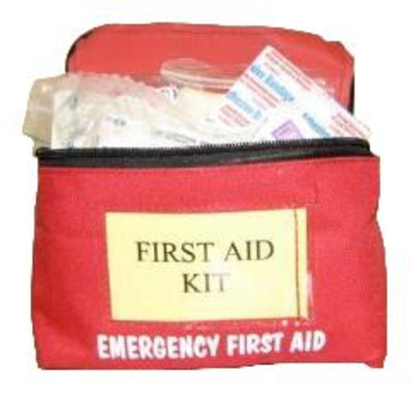 First Aid Kit, Professional