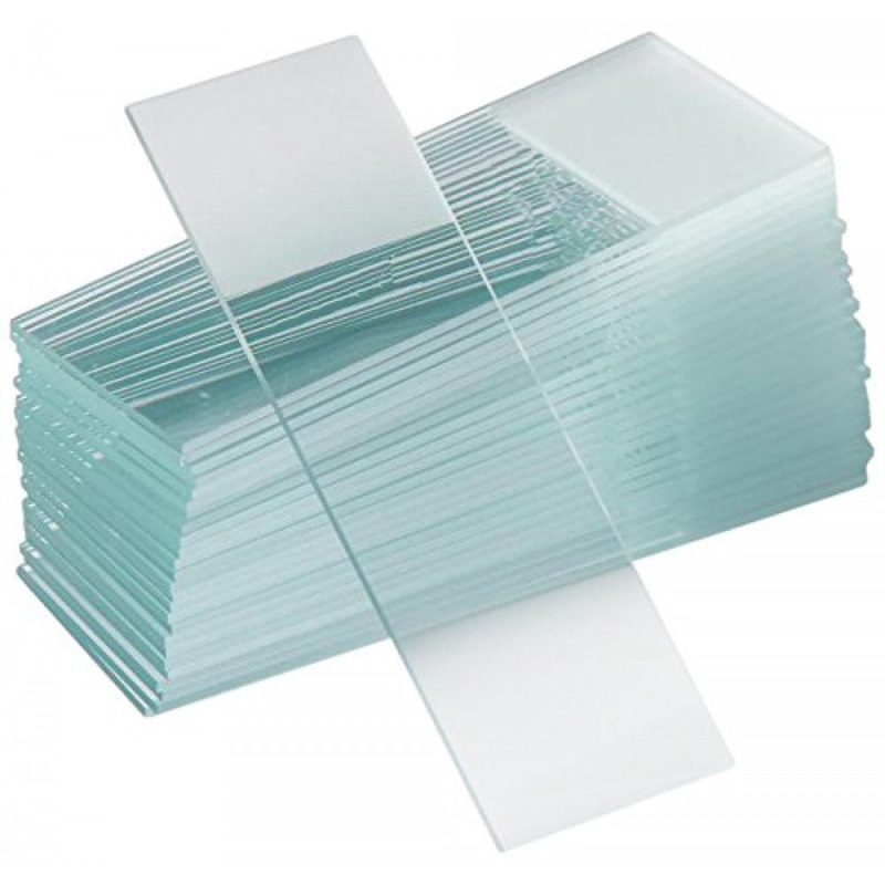 Microscope Slides, Frosted One End, Glass, Case of 1440