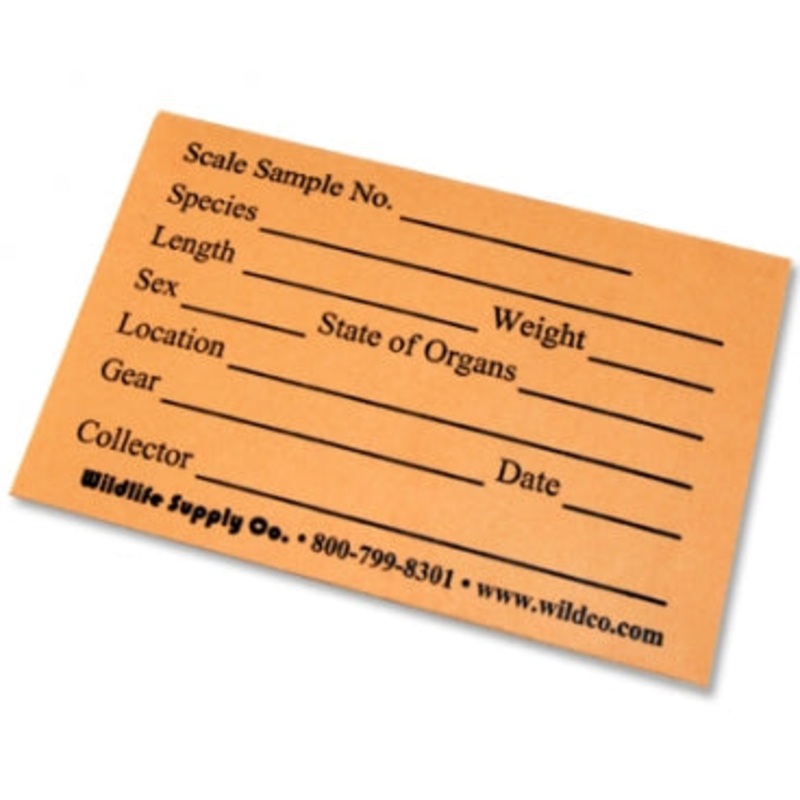 Fish Scale Envelopes, Pre-Printed Manilla, Pkg/100