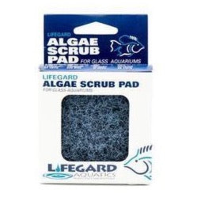 Algae Scrubbing Pad 3 x 3, Blue (Coarse)