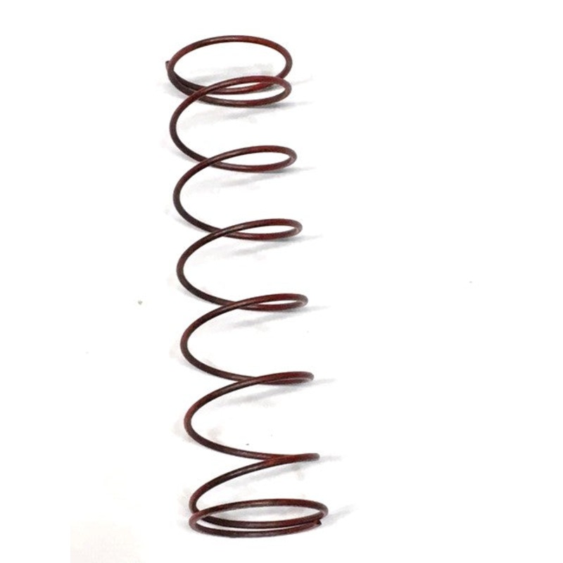 BelGAS P143 Internal Relief Gas Pressure Regulator Spring
