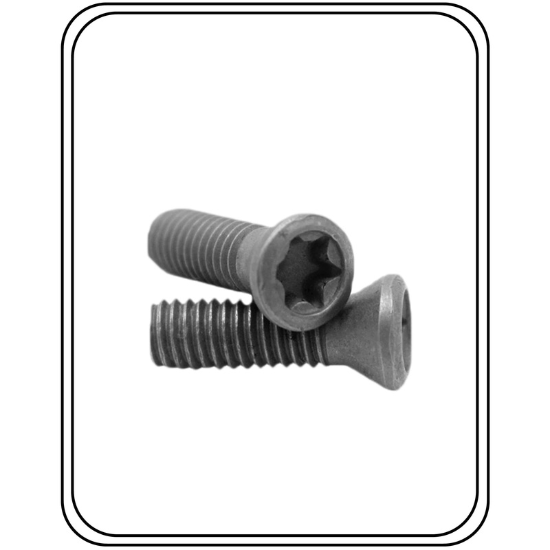 Grey Torx Screw 6 mm 10/16 Mm Long Pack Of 100