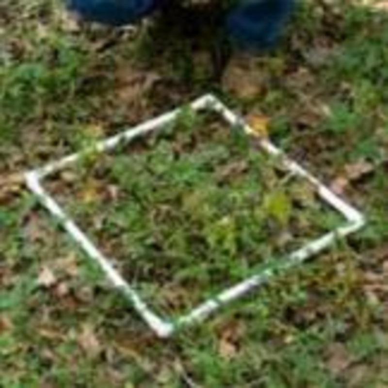 Collapsible Sampling Square, 0.25 Meter