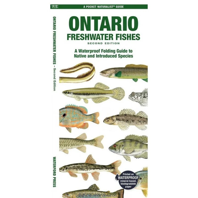 Folding Pocket Guide to Ontario Freshwater Fishes, 2nd Edition